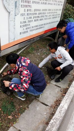 我校團(tuán)委組織青年志愿者參加美化校園義務(wù)勞動