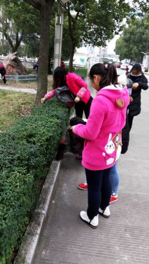 我校團(tuán)委組織青年志愿者參加美化校園義務(wù)勞動