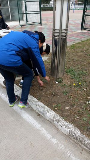 我校團(tuán)委組織青年志愿者參加美化校園義務(wù)勞動